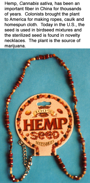 Making Beautiful Hemp & Bead Jewelry: How to Hand-Tie Necklaces, Bracelets,  Earrings, Keyrings, Watches & Eyeglass Holders With Hemp: Baskett, Mickey:  9780806962610: Amazon.com: Books